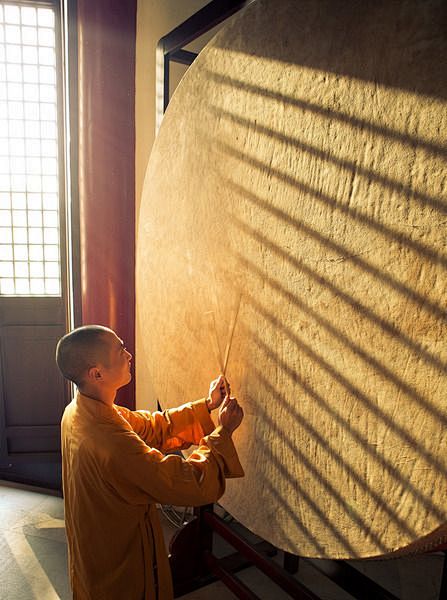 像橘子的太阳采集到一禅 一境