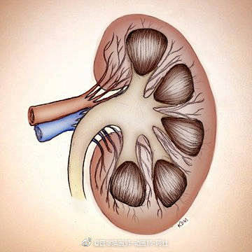 cel-Manning | Nicole Ethen #灵感的诞生# #3D#