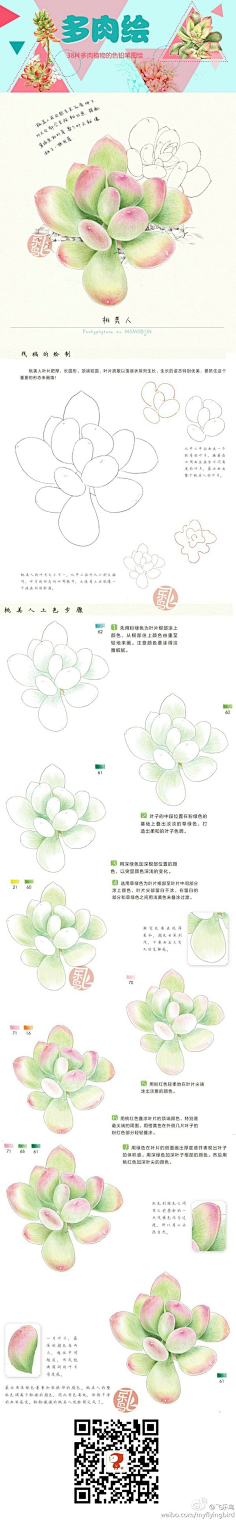 瑾喻采集到彩铅教程(静物)