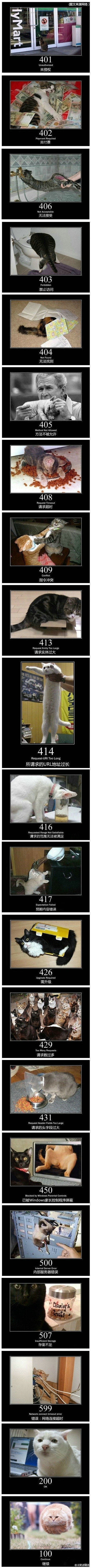 测试达人V采集到神叨叨