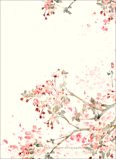 Chika1212采集到开到荼縻花事了