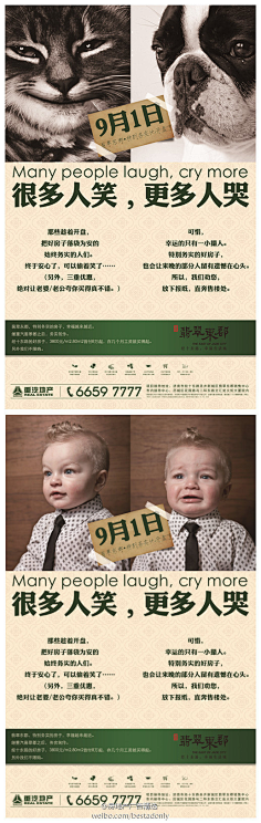 麦兜上图采集到地产项目-甜城