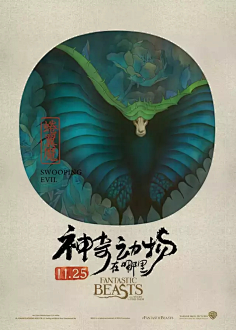 lim_777_采集到影与音