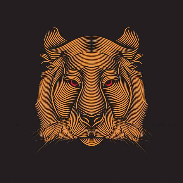 平面表现(链接)