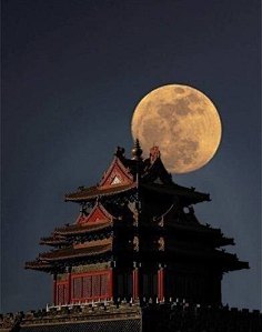 赵囧囧--采集到古建