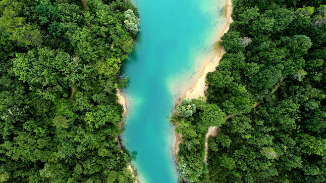 绿色森林河流大自然风景俯视风景壁纸360图片