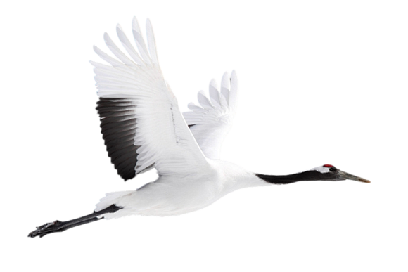 我爱ps131015古风免抠png蝈蝈的小窝吧百度贴吧