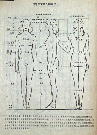 老妇女采集到人体结构
