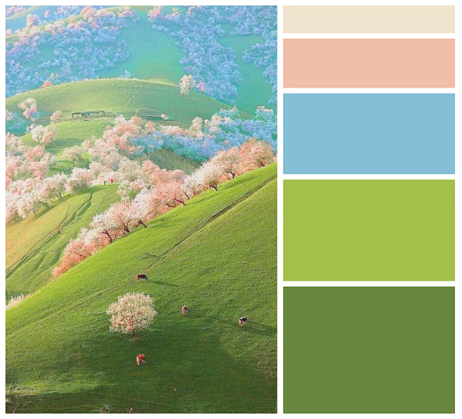 配色-花瓣网|陪你做生活的设计师 | art | mall galleries