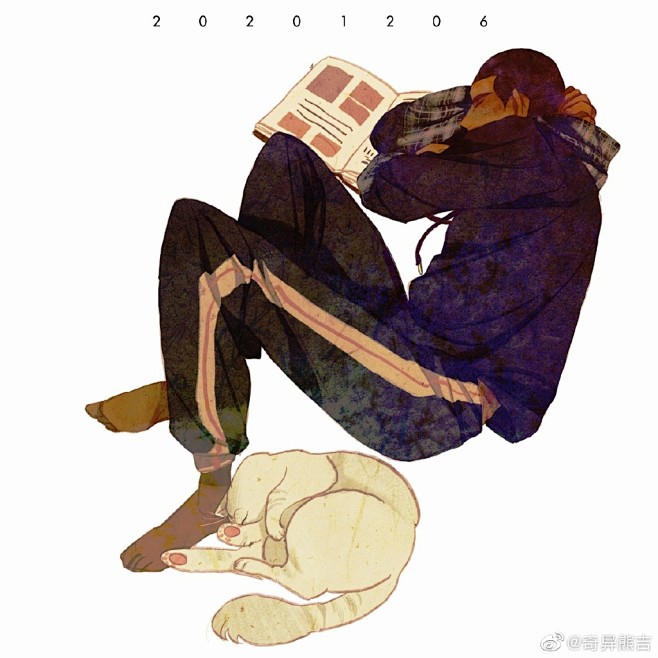 奇异熊吉vb奇异熊吉