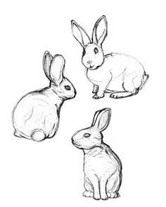 rabbitdrawingsgooglesearch