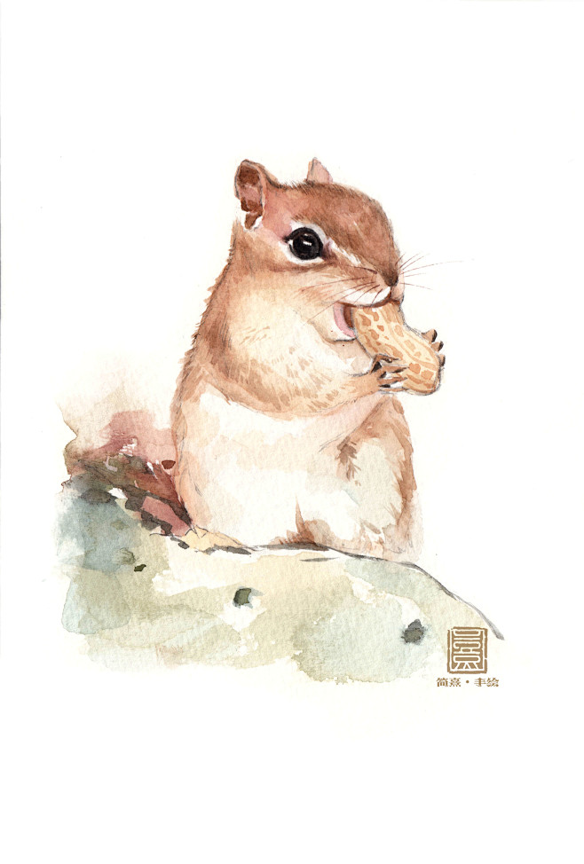 松鼠-花瓣网|陪你做生活的设计师 | 水彩动物——简熹手绘