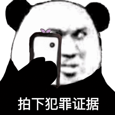 拍下犯罪证据熊猫头