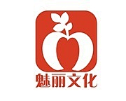 沈故昭₋采集到昭||网站logo