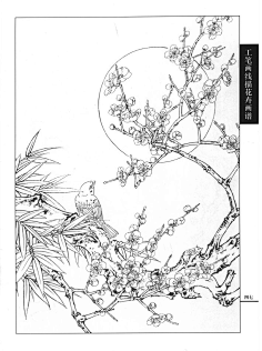 白描鳥類-花瓣網|陪你做生活的設計師 | 新浪博客