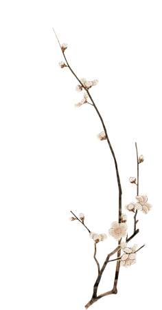 677-廖琦琦采集到素材花草