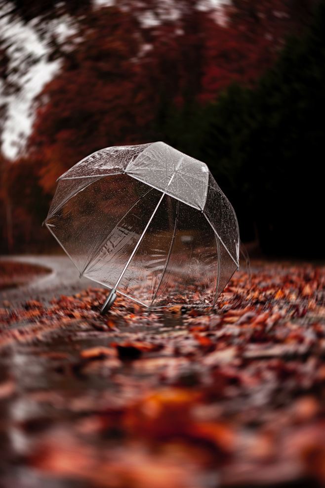 雨伞唯美意境图片