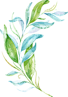 窑里陈采集到植物—素材