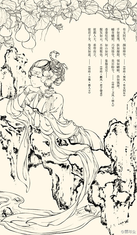 手绘这张留个底2月博物诗经美人的开篇各种比喻实体聚合版今天拿到