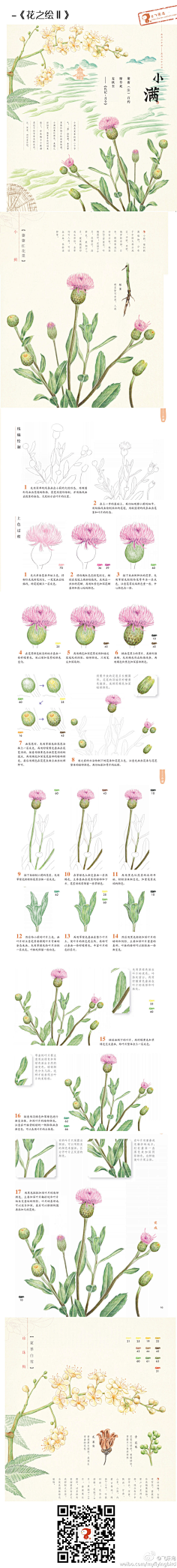 菜菜-1937采集到教程