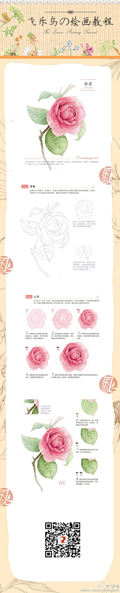 小妖Zzo采集到手绘植物