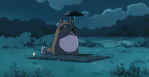 Gif 二次元 动漫 宫崎骏 龙猫