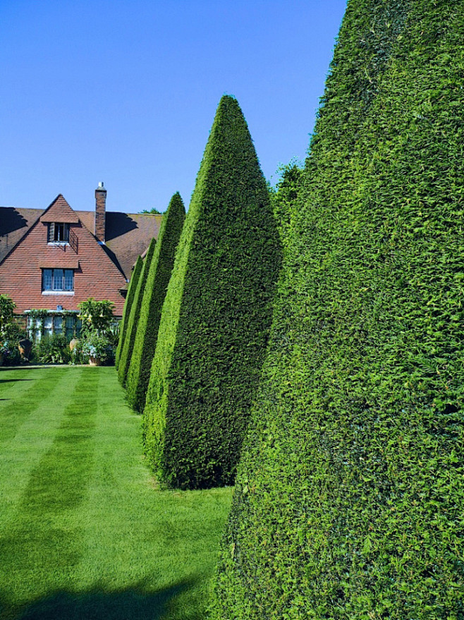 景观绿篱植物设计图集下载绿墙模纹花坛法式园林花园植物树木修剪迷宫