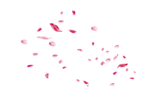 皓兒采集到UI