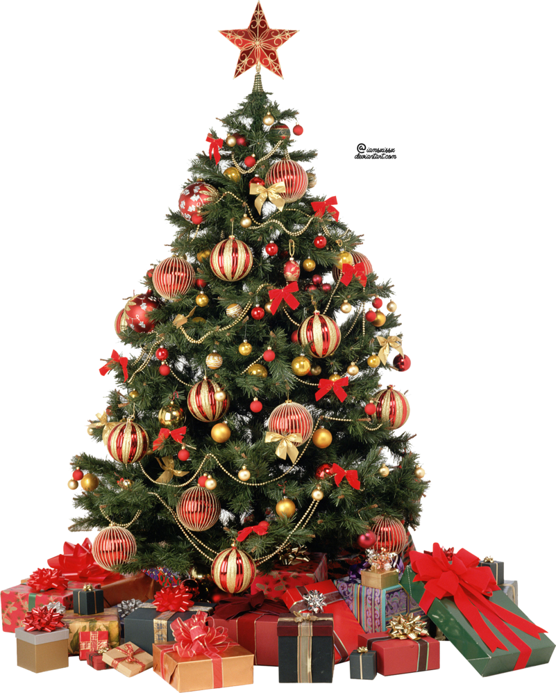 Xmas Tree Png 6 By Iamszissz