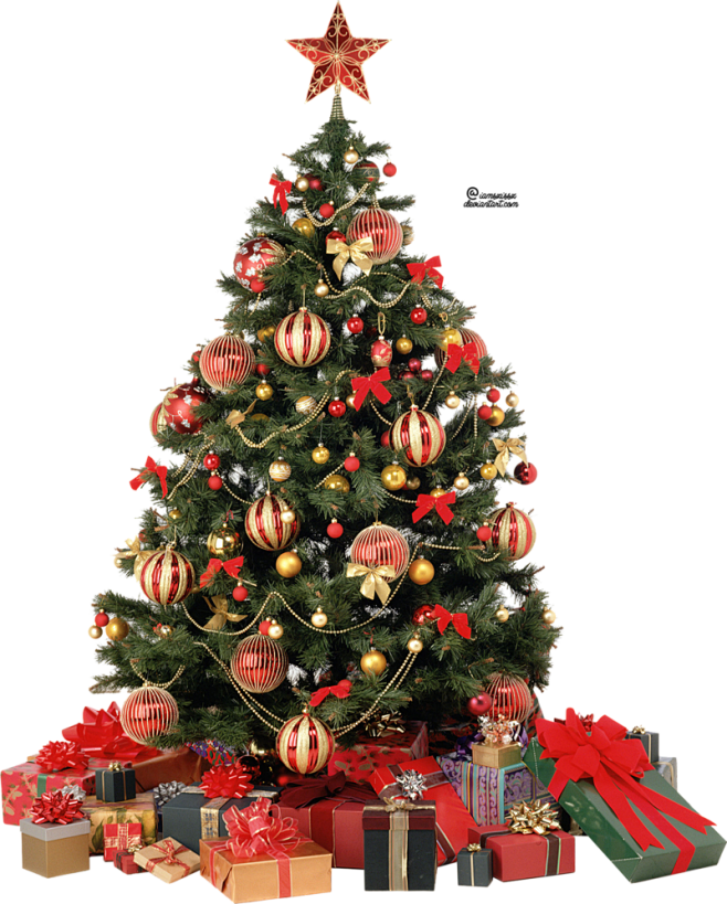 Xmas Tree Png 6 By Iamszissz
