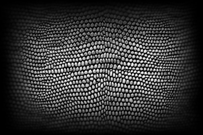 alpha——灰度图