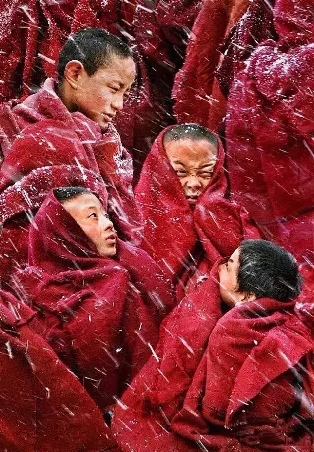 像橘子的太阳采集到一禅 一境