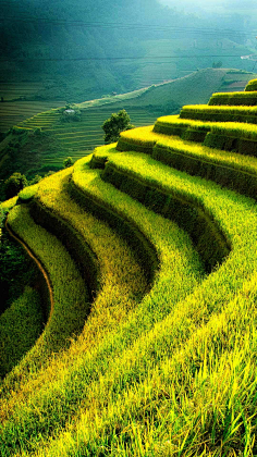 南栀惜沫采集到素材◈自然风光背景
