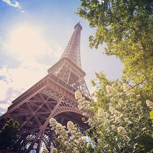 我的关注 Pinsta.me Instagram 网页版 | 电脑版