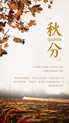 易图设计工具采集到节气