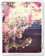 吴浮生采集到古镇