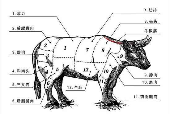 庖丁解牛的结构图图片