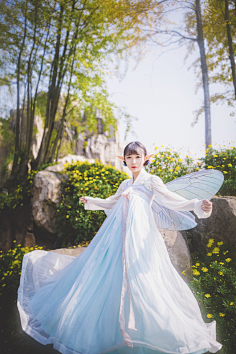春花落尽·不曾回头采集到素闲吃“香”