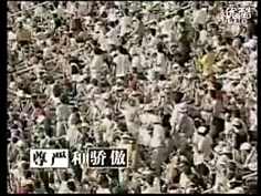 叶子青年采集到8023の音乐、电影、图书