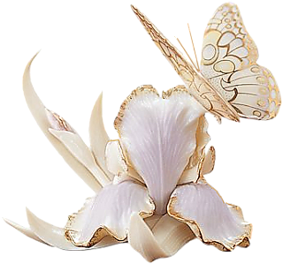 ps免抠素材史上最全的花类png透明素材293pps吧百度贴吧