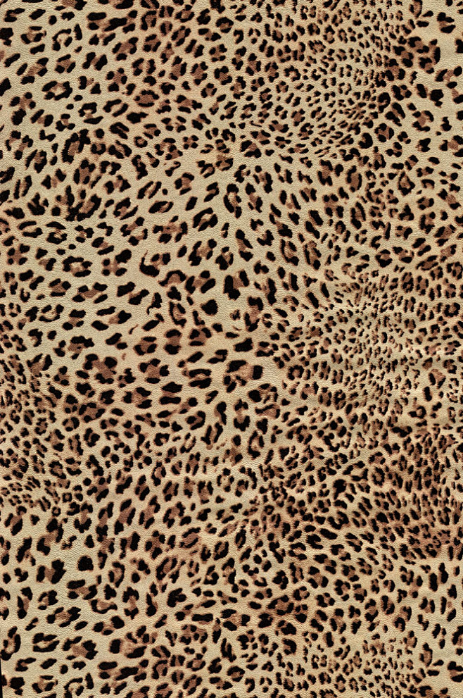 豹纹背景图片素材图片素材