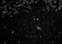 优能设计施采集到雪花