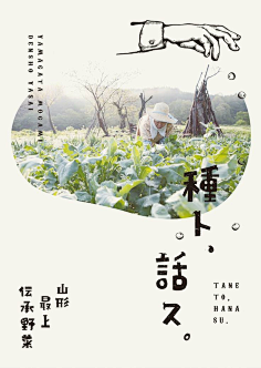 已是过去采集到版式