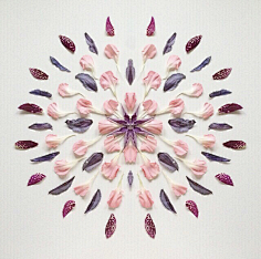 老付_23采集到Flower scape