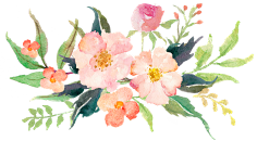 __葉○采集到花草
