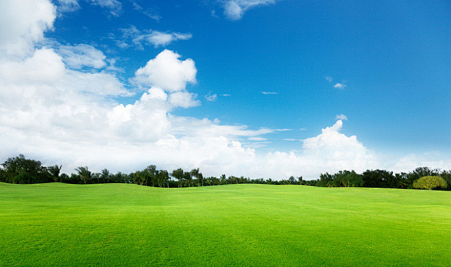 唯美的草地天空景色高清图片