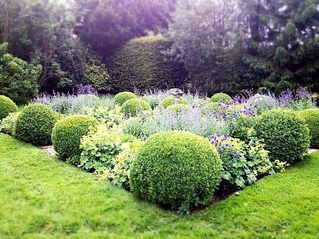 景观绿篱植物设计图集下载绿墙模纹花坛法式园林花园植物树木修剪迷宫