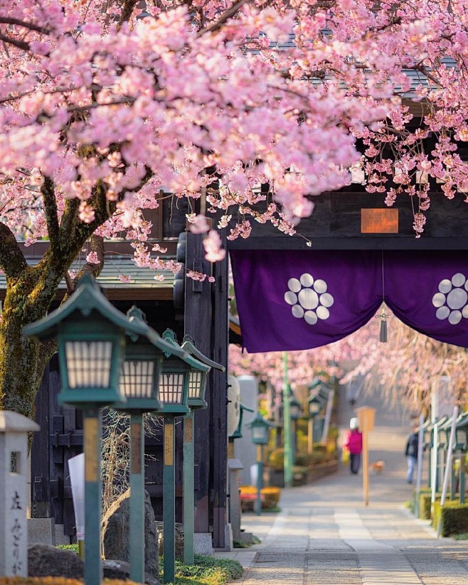 小妖Sika采集到旅游