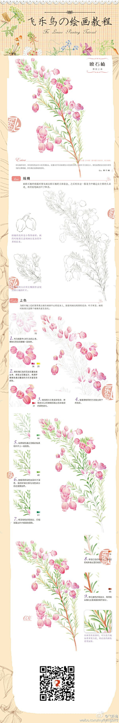 瑾喻采集到彩铅教程(静物)
