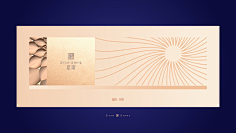 Rafaelove采集到VI